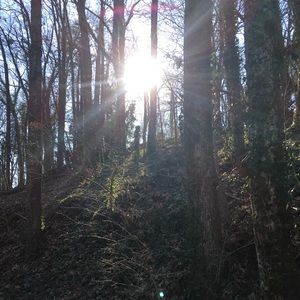 Meet your Posher, Mack